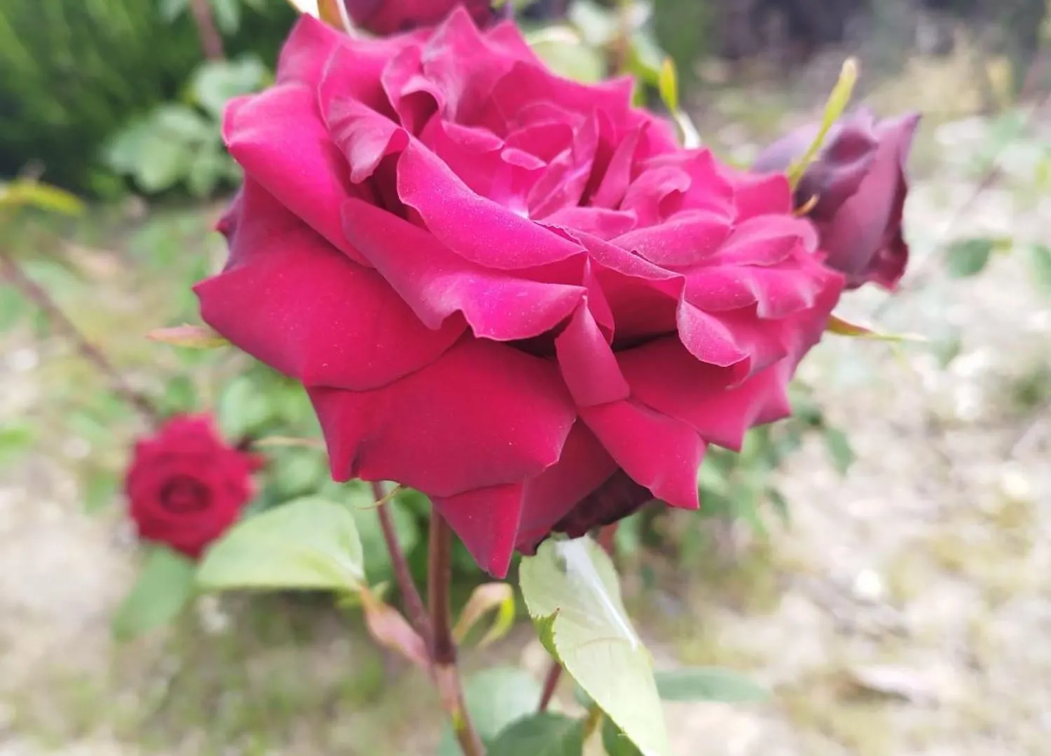 펜션 Casa Rural Vista Bella 론다 스페인