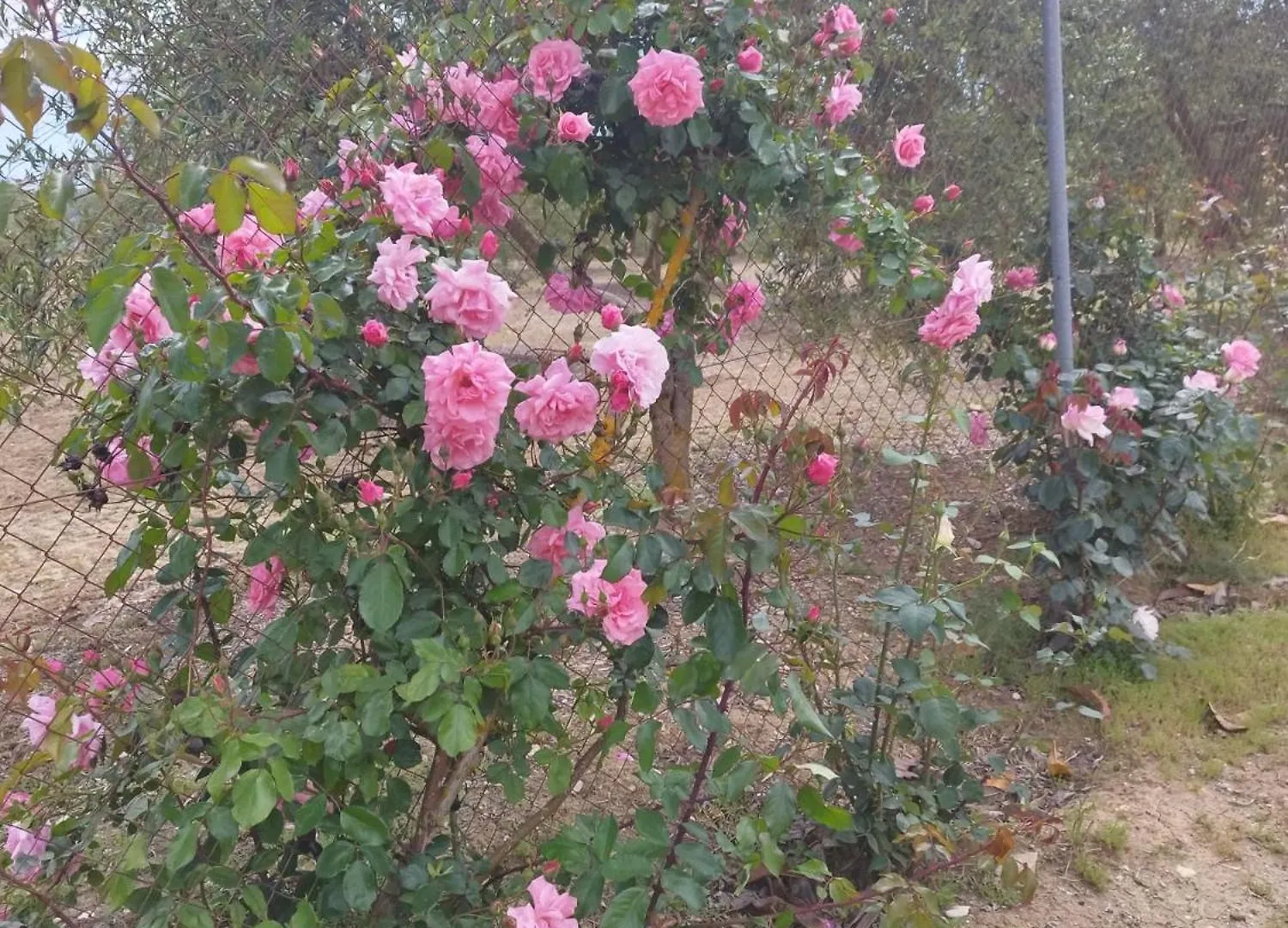 Casa Rural Vista Bella 론다 펜션
